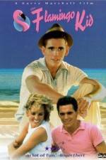 Watch The Flamingo Kid 123MoviesFree