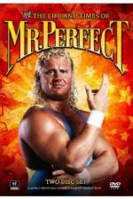 Watch The Life and Times of Mr Perfect 123MoviesFree