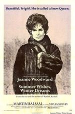 Watch Summer Wishes, Winter Dreams 123MoviesFree