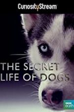 Watch Secret Life of Dogs 123MoviesFree
