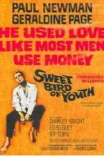 Watch Sweet Bird of Youth 123MoviesFree