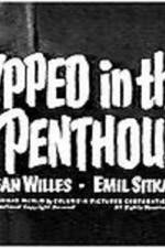 Watch Gypped in the Penthouse 123MoviesFree