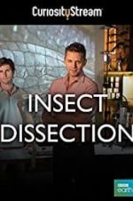 Watch Insect Dissection: How Insects Work 123MoviesFree