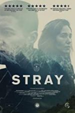 Watch Stray 123MoviesFree
