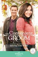 Watch The Convenient Groom 123MoviesFree
