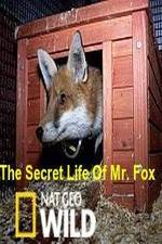 Watch The Secret Life of Mr. Fox 123MoviesFree