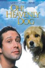 Watch Oh Heavenly Dog 123MoviesFree
