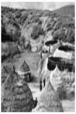 Watch Shelter 123MoviesFree