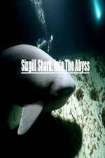 Watch National Geographic Wild Sixgill Shark Into The Abyss 123MoviesFree