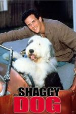 Watch The Shaggy Dog 123MoviesFree