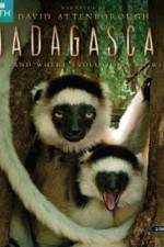 Watch Madagascar Island of Marvels 123MoviesFree