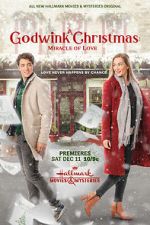 Watch A Godwink Christmas: Miracle of Love 123MoviesFree
