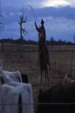 Watch Cowboy Christmas 123MoviesFree