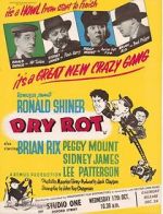Watch Dry Rot 123MoviesFree