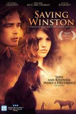 Watch Saving Winston 123MoviesFree