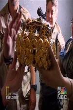 Watch Iraq's Lost Treasure 123MoviesFree