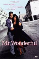 Watch Mr Wonderful 123MoviesFree