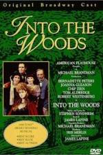 Watch Into the Woods 123MoviesFree