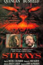 Watch Strays 123MoviesFree