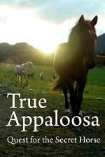 Watch True Appaloosa 123MoviesFree