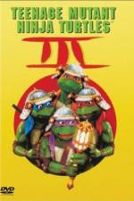 Watch Teenage Mutant Ninja Turtles III 123MoviesFree