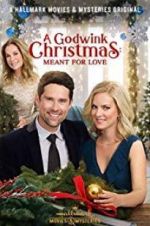 Watch A Godwink Christmas: Meant for Love 123MoviesFree
