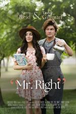 Watch Mr. Right 123MoviesFree