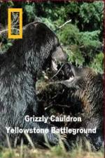 Watch National Geographic Grizzly Cauldron 123MoviesFree