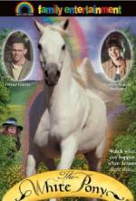 Watch The White Pony 123MoviesFree