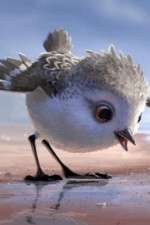 Watch Piper 123MoviesFree