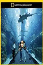 Watch National Geographic Megastructures Dubai Mega Mall 123MoviesFree