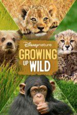 Watch Growing Up Wild 123MoviesFree