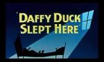 Watch Daffy Duck Slept Here (Short 1948) 123MoviesFree