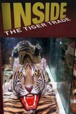 Watch Inside: The Tiger Trade 123MoviesFree
