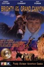 Watch Brighty of the Grand Canyon 123MoviesFree