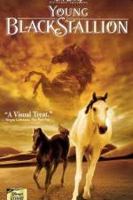 Watch The Young Black Stallion 123MoviesFree