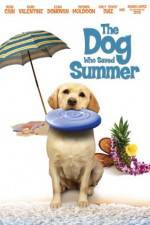 Watch The Dog Who Saved Summer 123MoviesFree