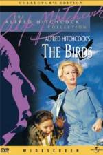 Watch The Birds 123MoviesFree