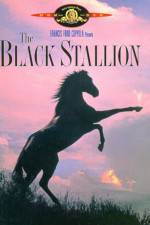 Watch The Black Stallion 123MoviesFree