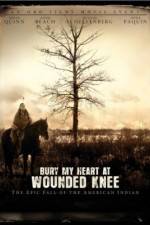 Watch Bury My Heart at Wounded Knee 123MoviesFree