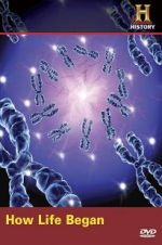 Watch How Life Began 123MoviesFree