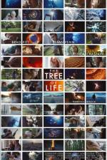 Watch The Tree of Life 123MoviesFree