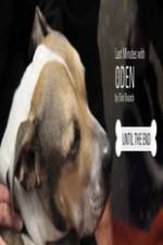 Watch Last Minutes with ODEN 123MoviesFree