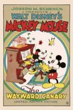 Watch The Wayward Canary 123MoviesFree