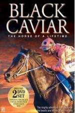 Watch Black Caviar The Races 123MoviesFree