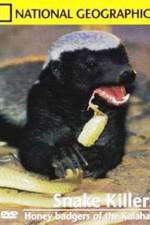 Watch National Geographic: Snake Killers Honey Badgers Of The Kalahari 123MoviesFree
