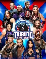 Watch WWE Tribute to the Troops 123MoviesFree