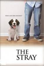 Watch The Stray 123MoviesFree