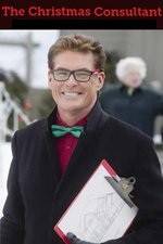 Watch The Christmas Consultant 123MoviesFree