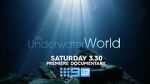 Watch My Underwater World (TV Special 2024) 123MoviesFree